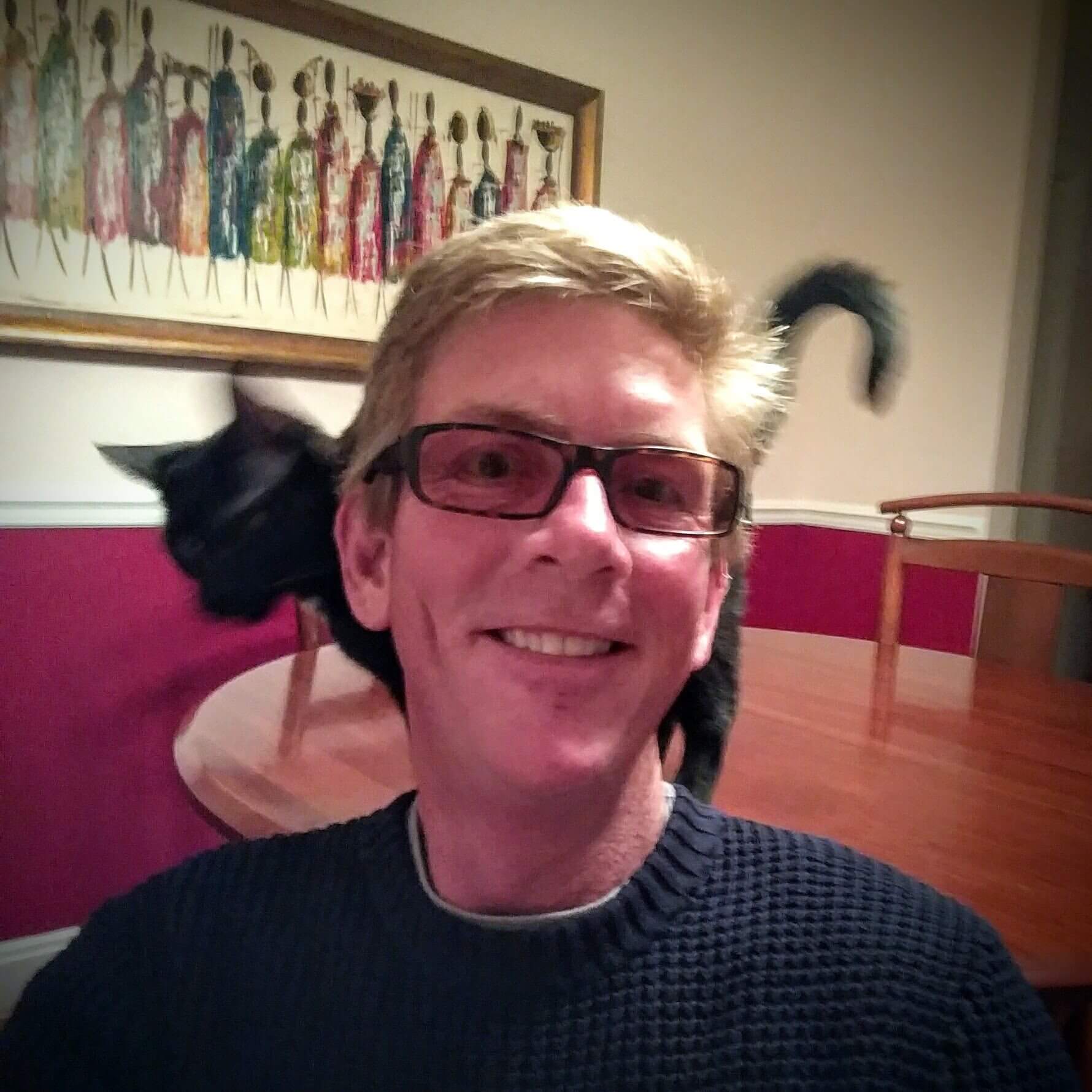 kevin cat in background
